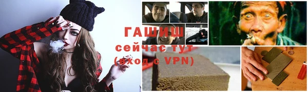 стаф Абинск
