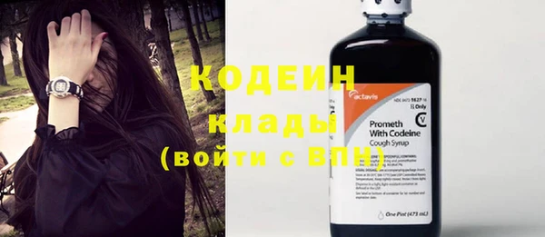 прущие крисы Рославль