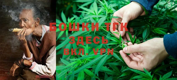 прущие крисы Абаза