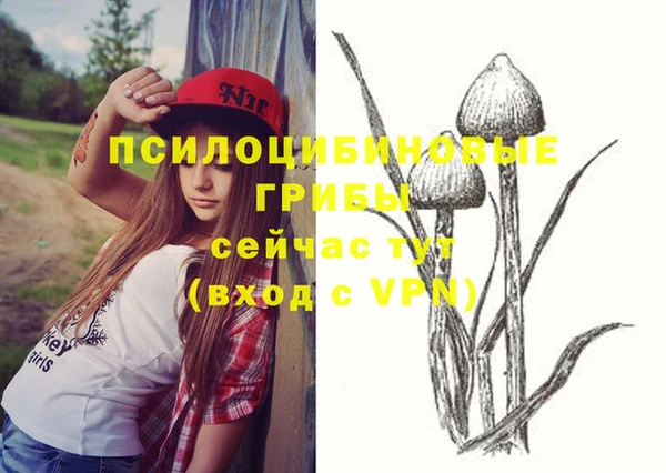 стаф Абинск