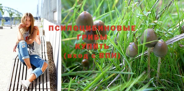 твердый Губаха