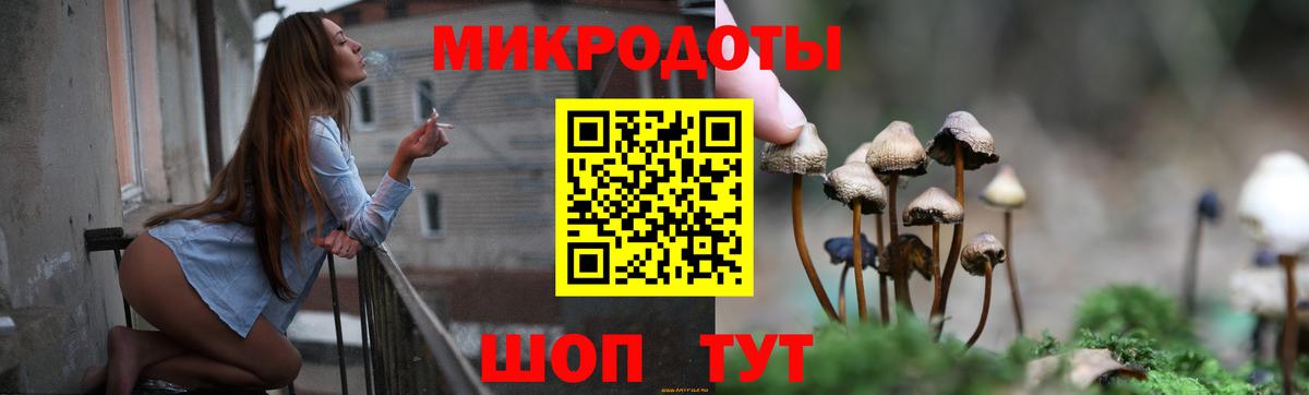 Галлюциногенные грибы Psilocybine cubensis  Вход с VPN  Холмск  Псилоцибиновые грибы Psilocybe 